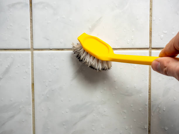 Best Residential Mold Removal  in Scotland Neck, NC